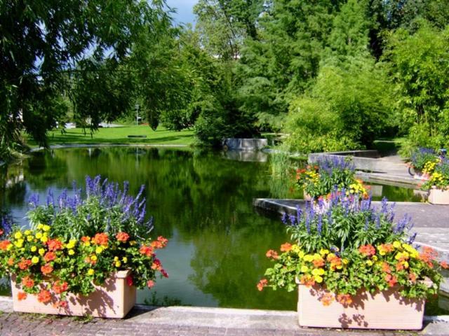 Lotus Daire Bad Bellingen Dış mekan fotoğraf