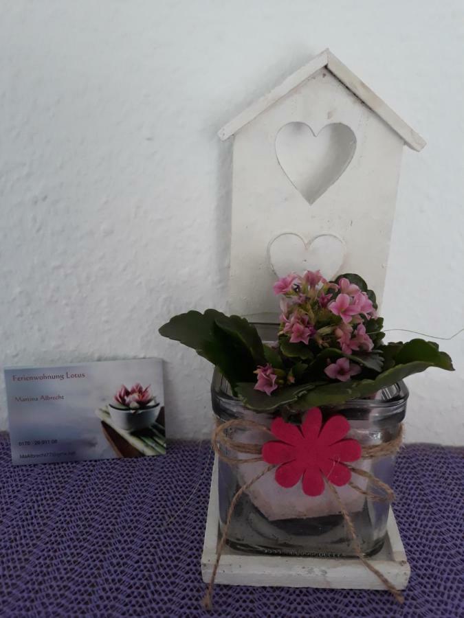Lotus Daire Bad Bellingen Dış mekan fotoğraf
